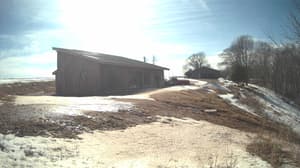 A newer photo from the camera