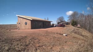 A newer photo from the camera