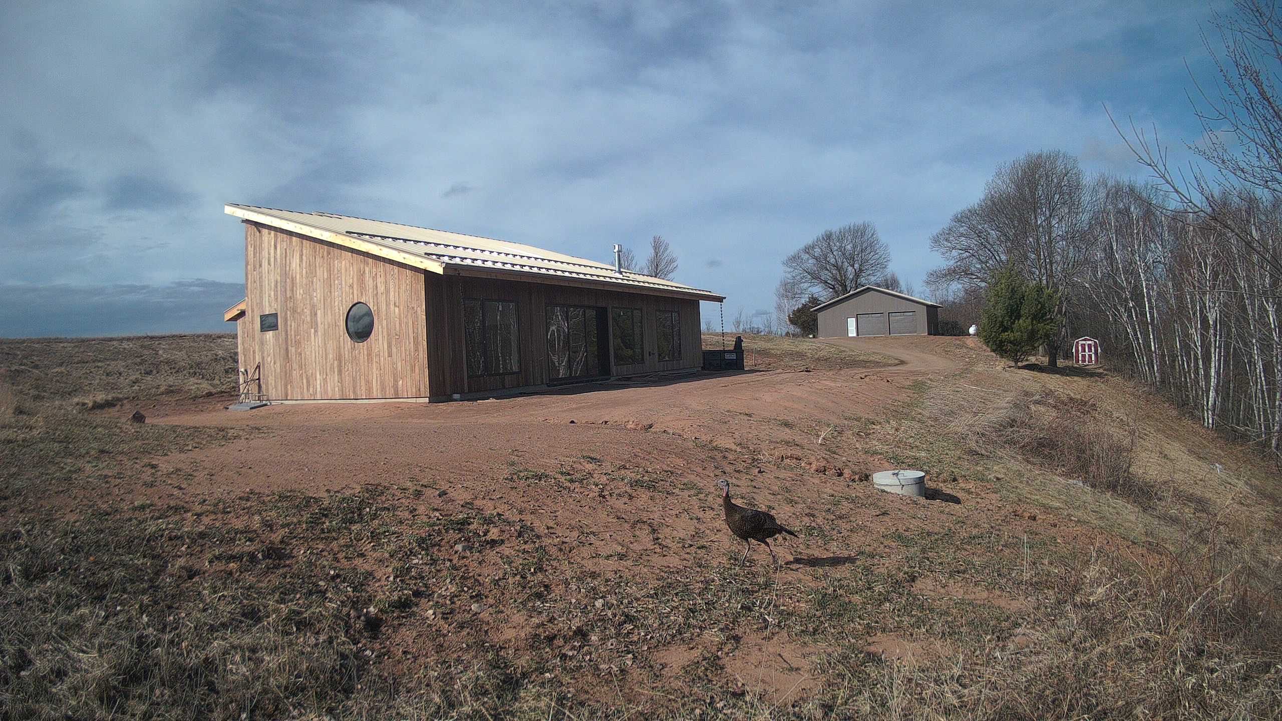 A photo from the field camera