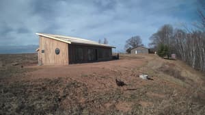 An older photo from the camera