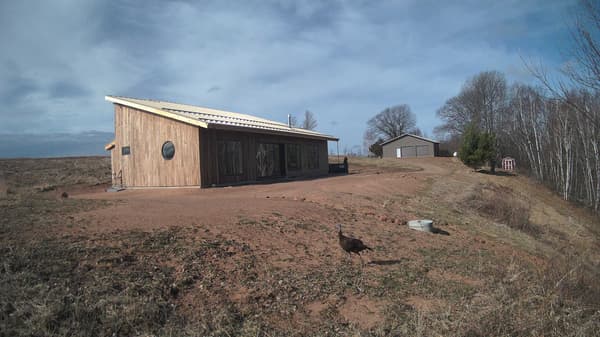 The field cam, Apr 1, 2026 at 7:43am