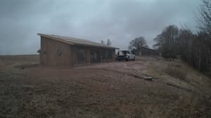 A newer photo from the camera