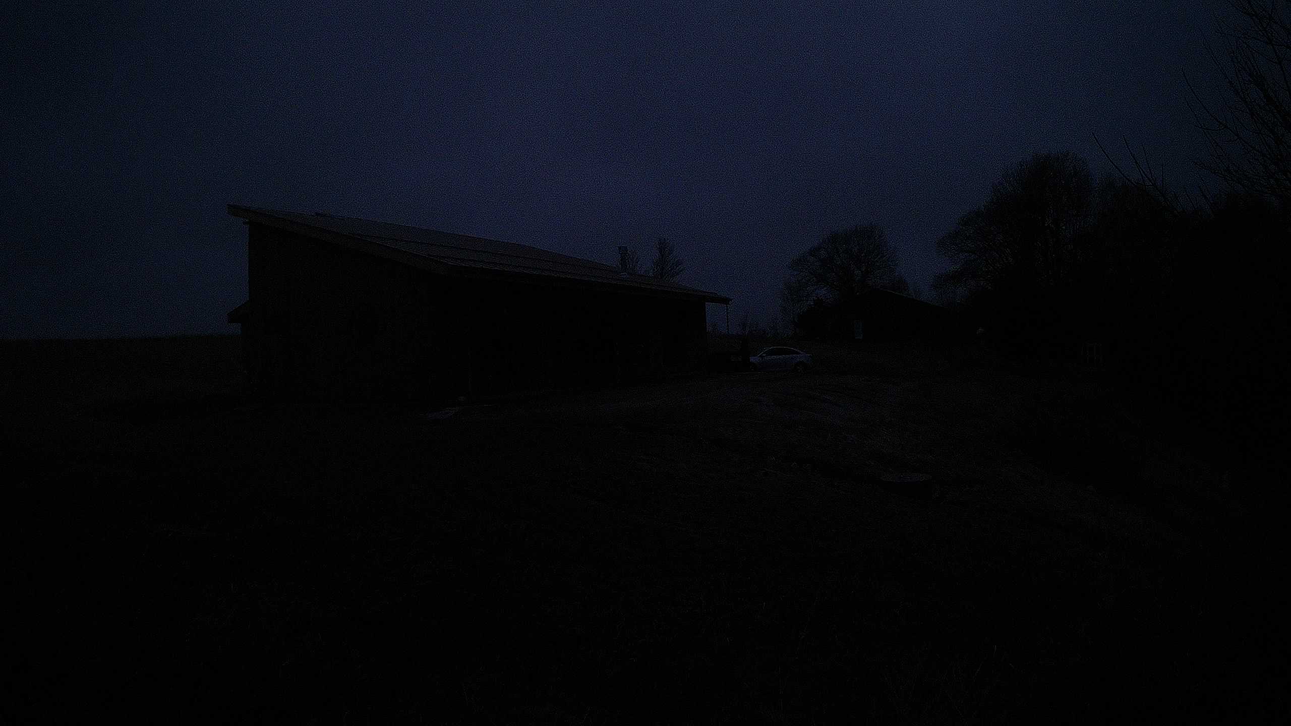 A photo from the field camera