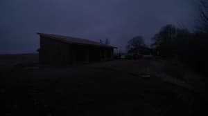 A newer photo from the camera