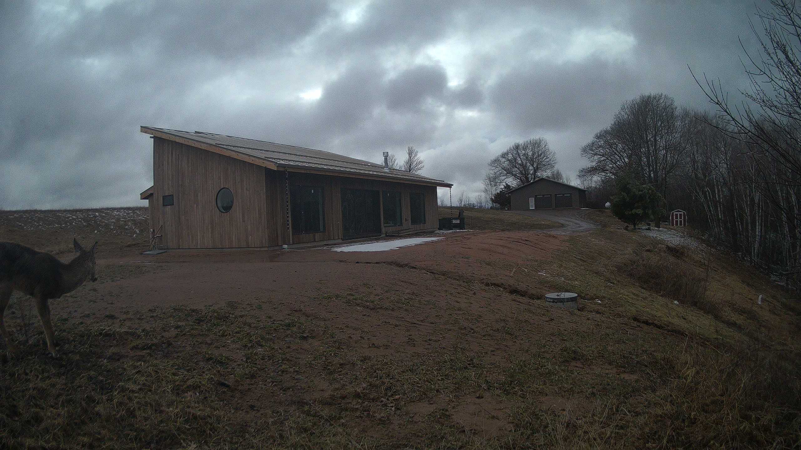 A photo from the field camera