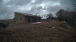 An older photo from the camera