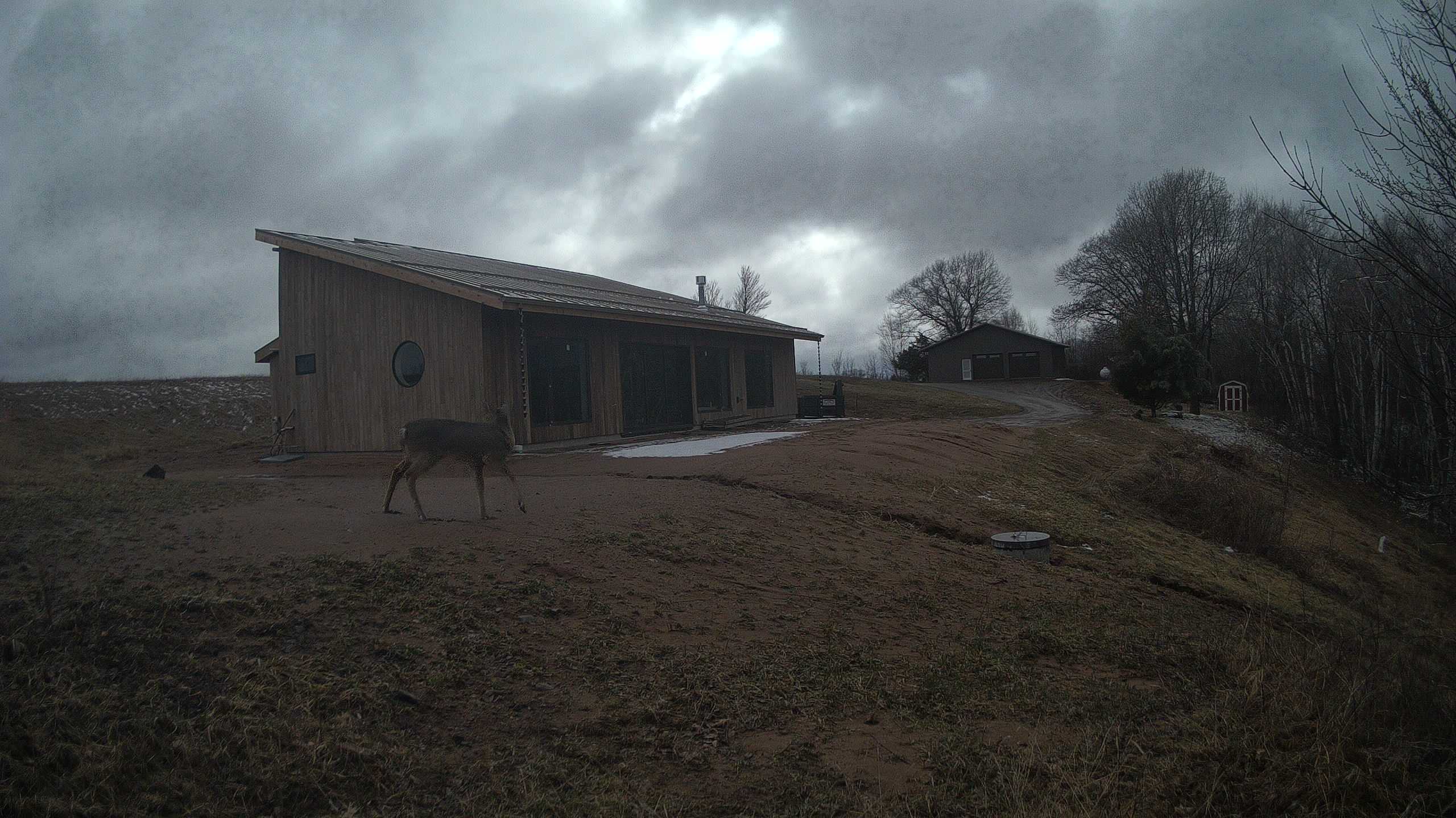 The field cam, Apr 3, 2026 at 2:32pm