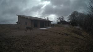 An older photo from the camera