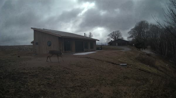 The field cam, Apr 3, 2026 at 2:32pm