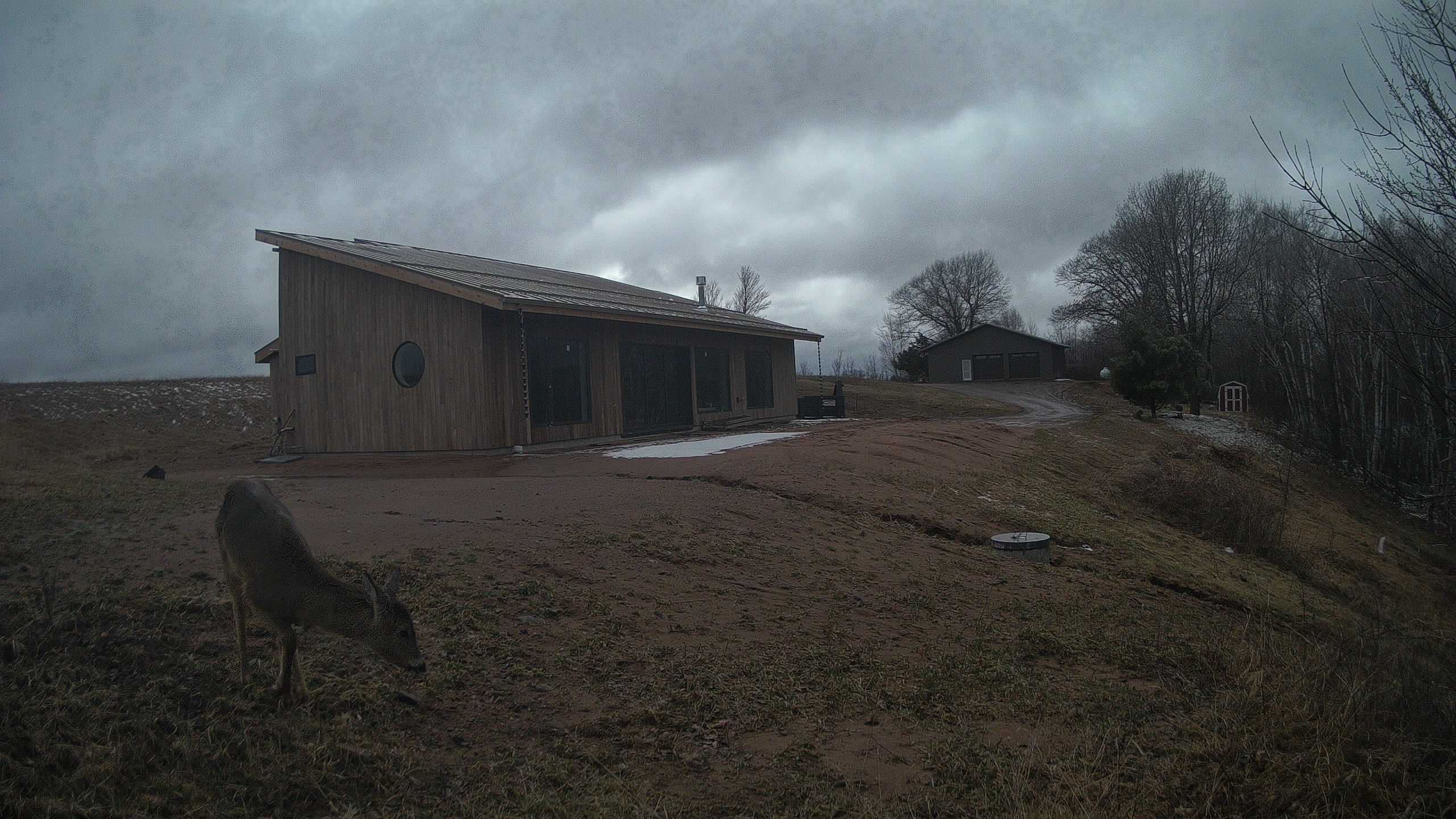 A photo from the field camera