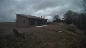 An older photo from the camera