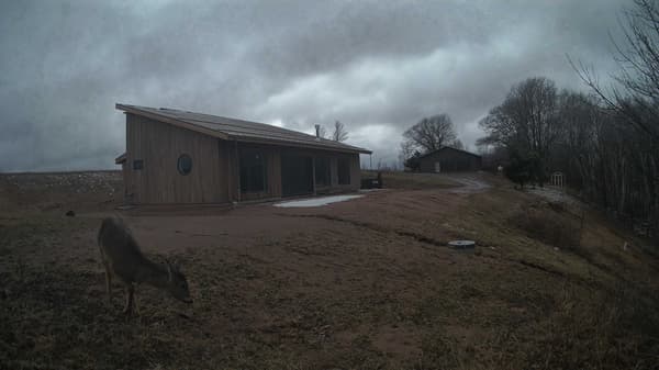 The field cam, Apr 3, 2026 at 2:33pm