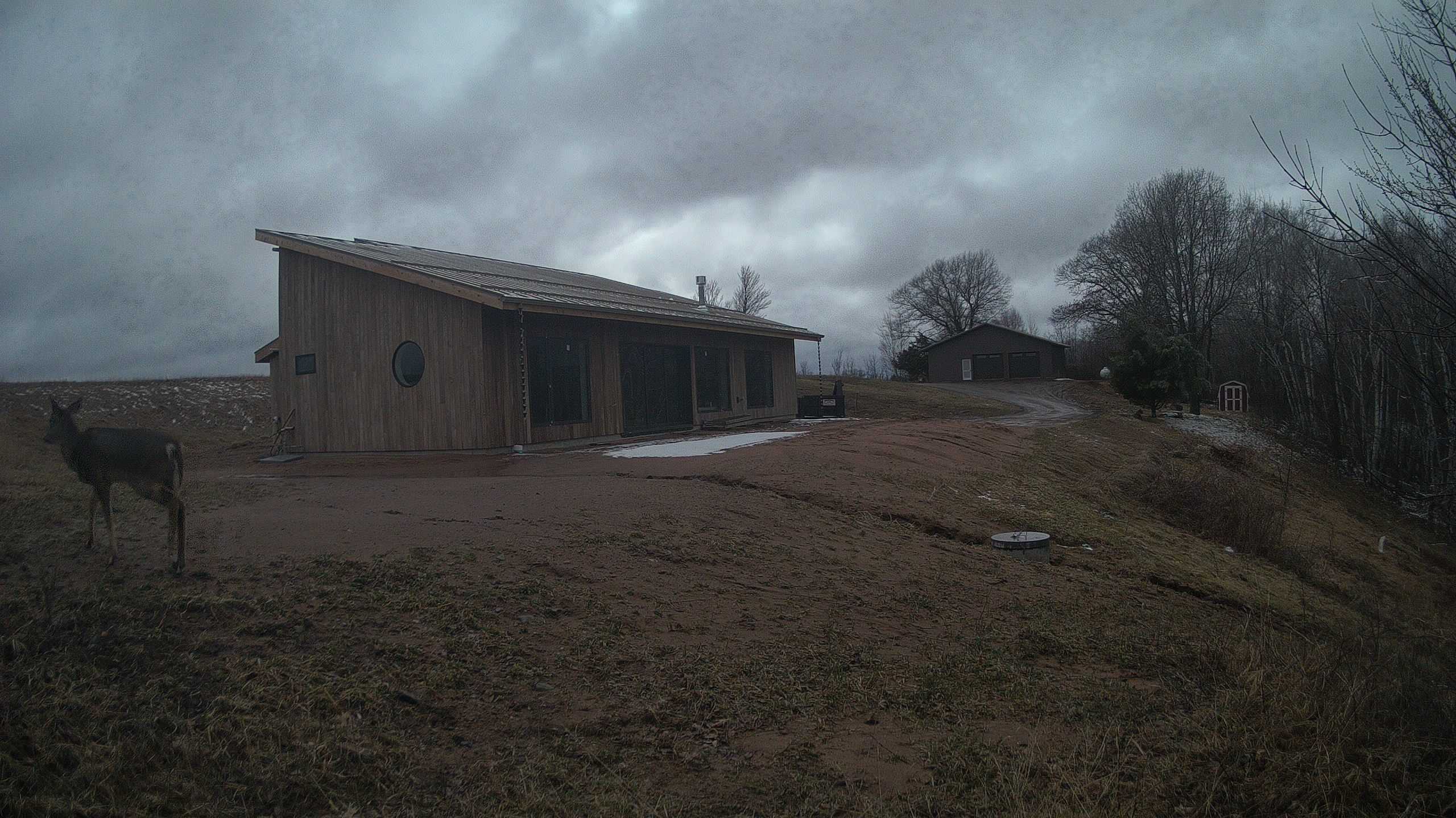 A photo from the field camera