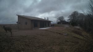 An older photo from the camera