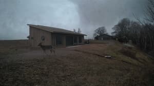 Currently viewing photo