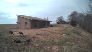 An older photo from the camera