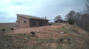 An older photo from the camera