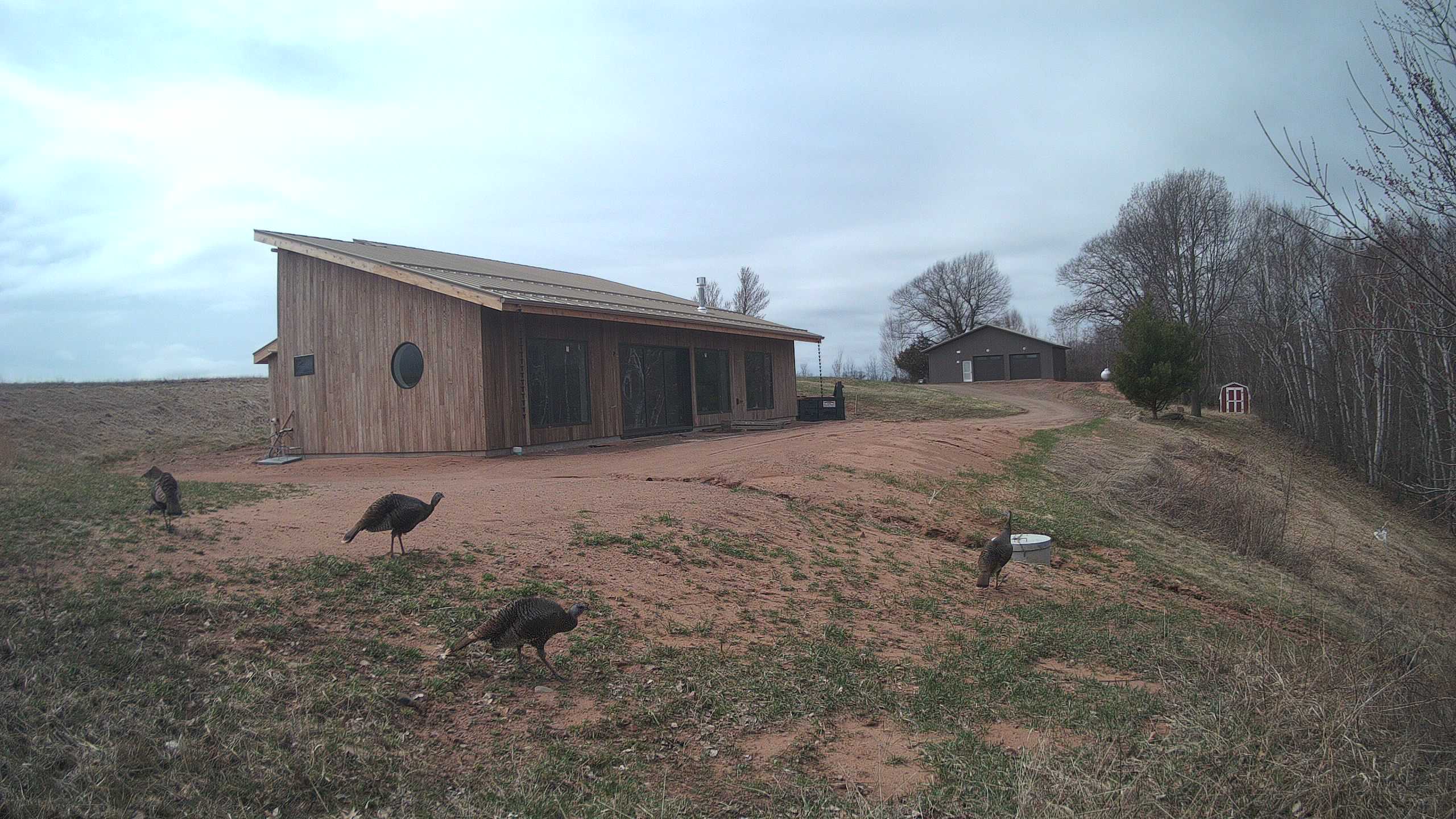 A photo from the field camera