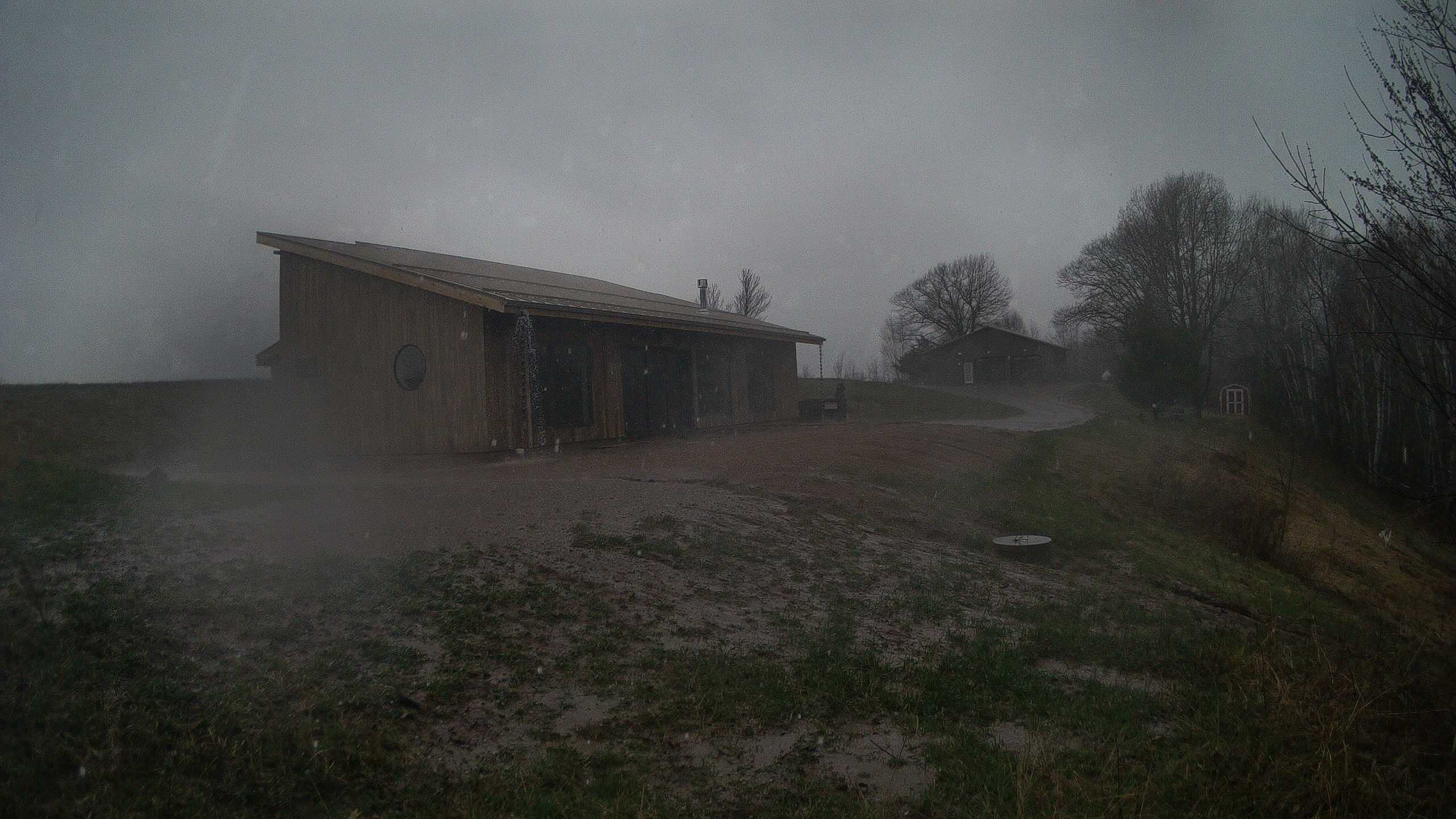 A photo from the field camera