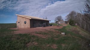 An older photo from the camera