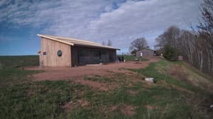 An older photo from the camera