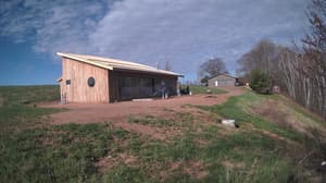 An older photo from the camera