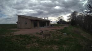 A newer photo from the camera