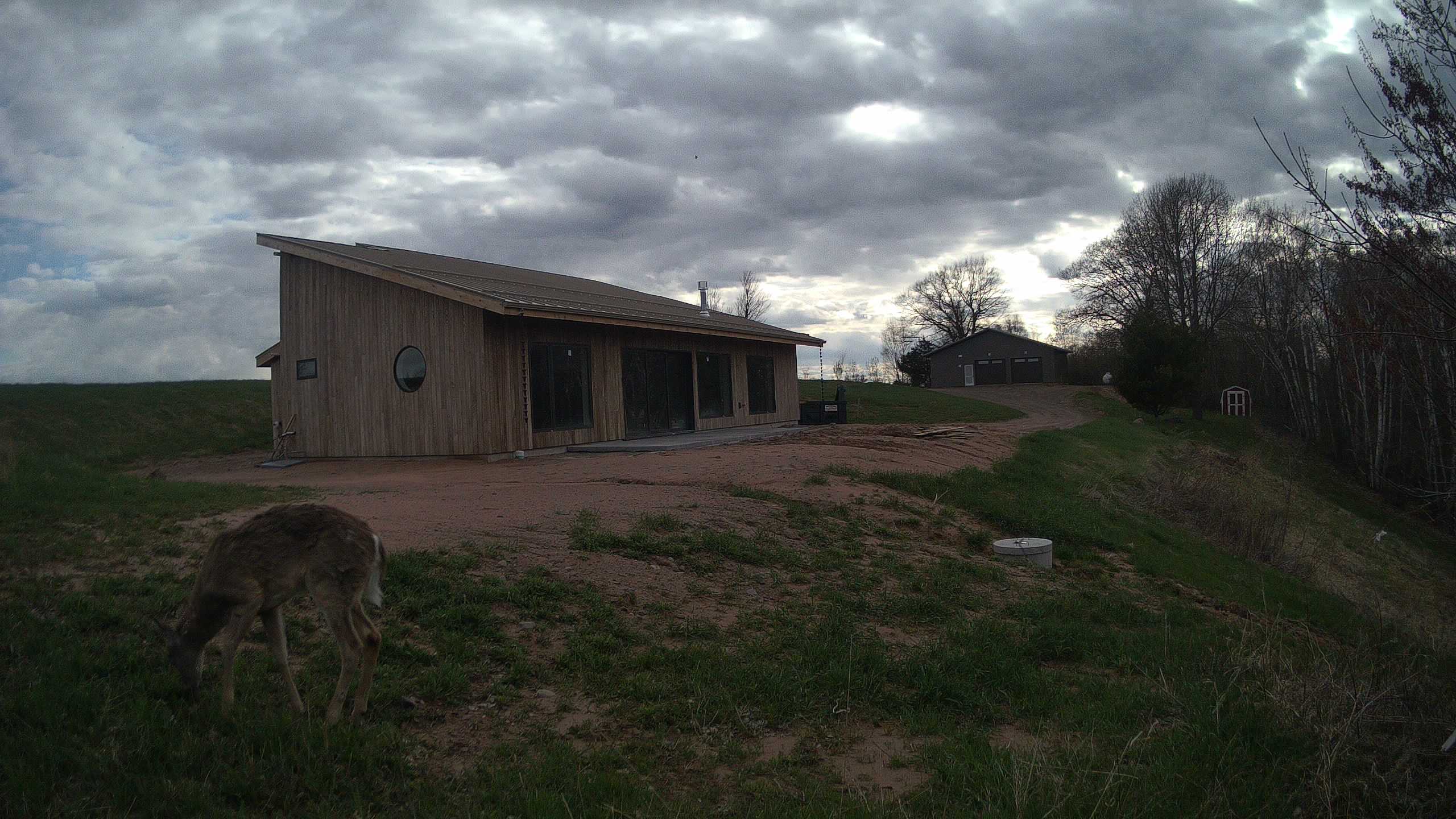 A photo from the field camera