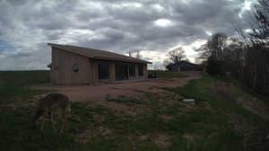 A newer photo from the camera