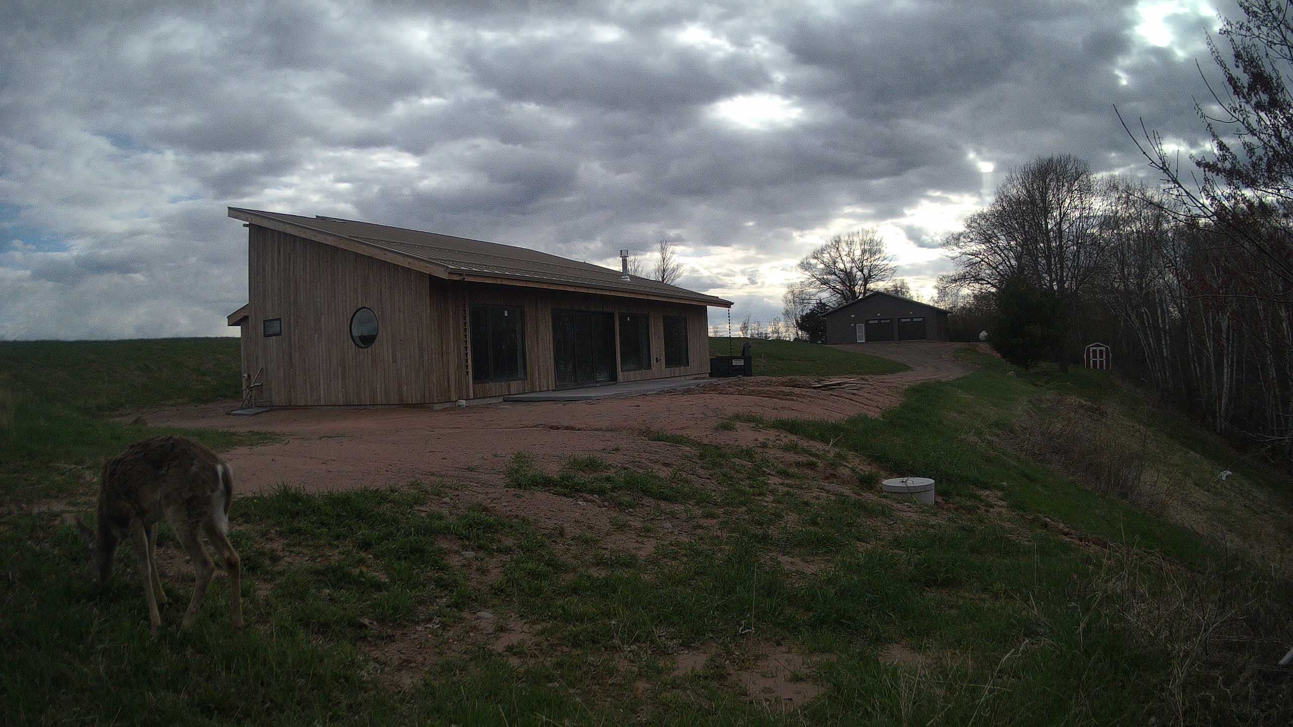 A photo from the field camera