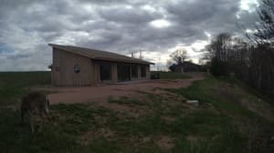 A newer photo from the camera