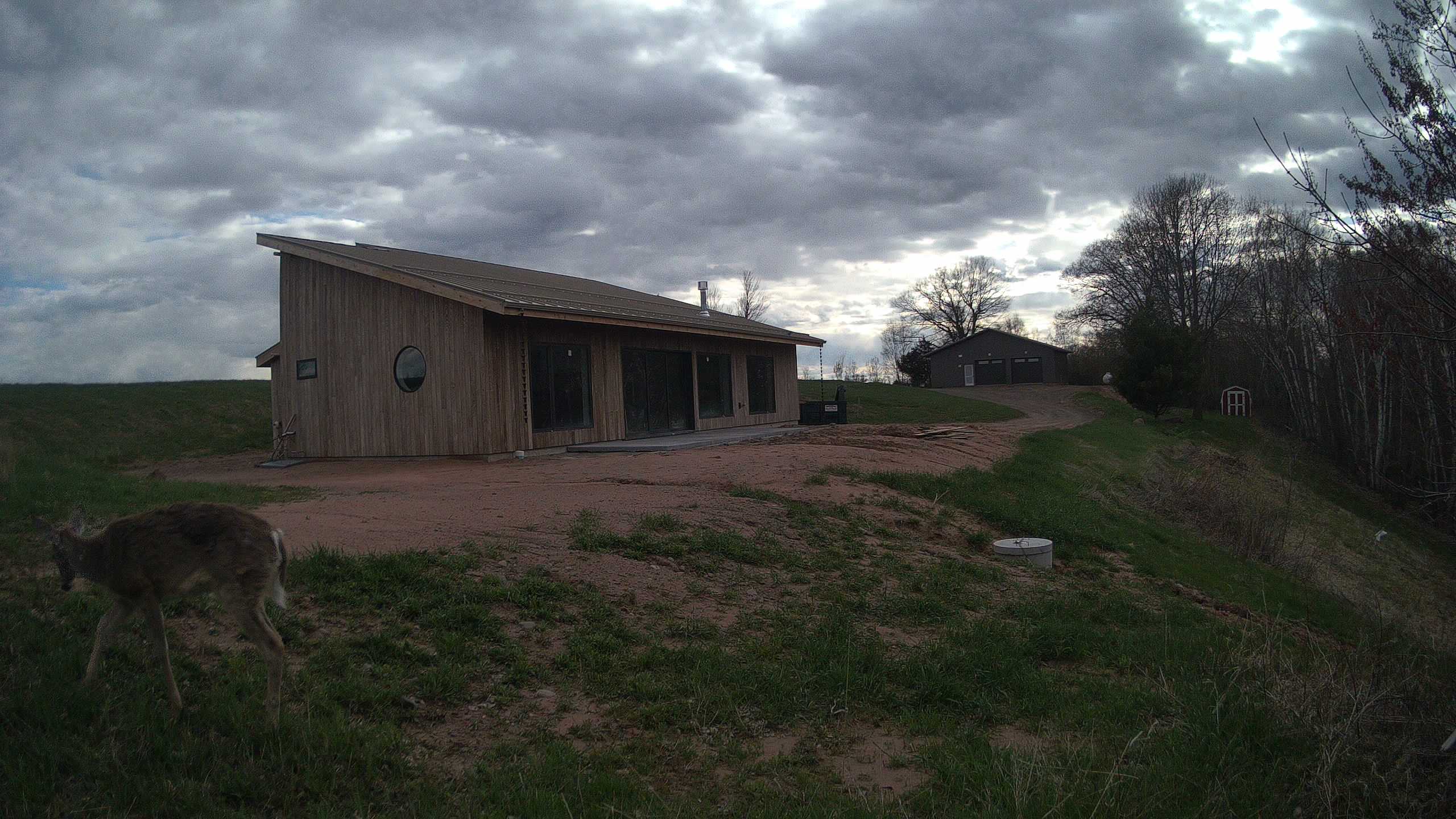 A photo from the field camera