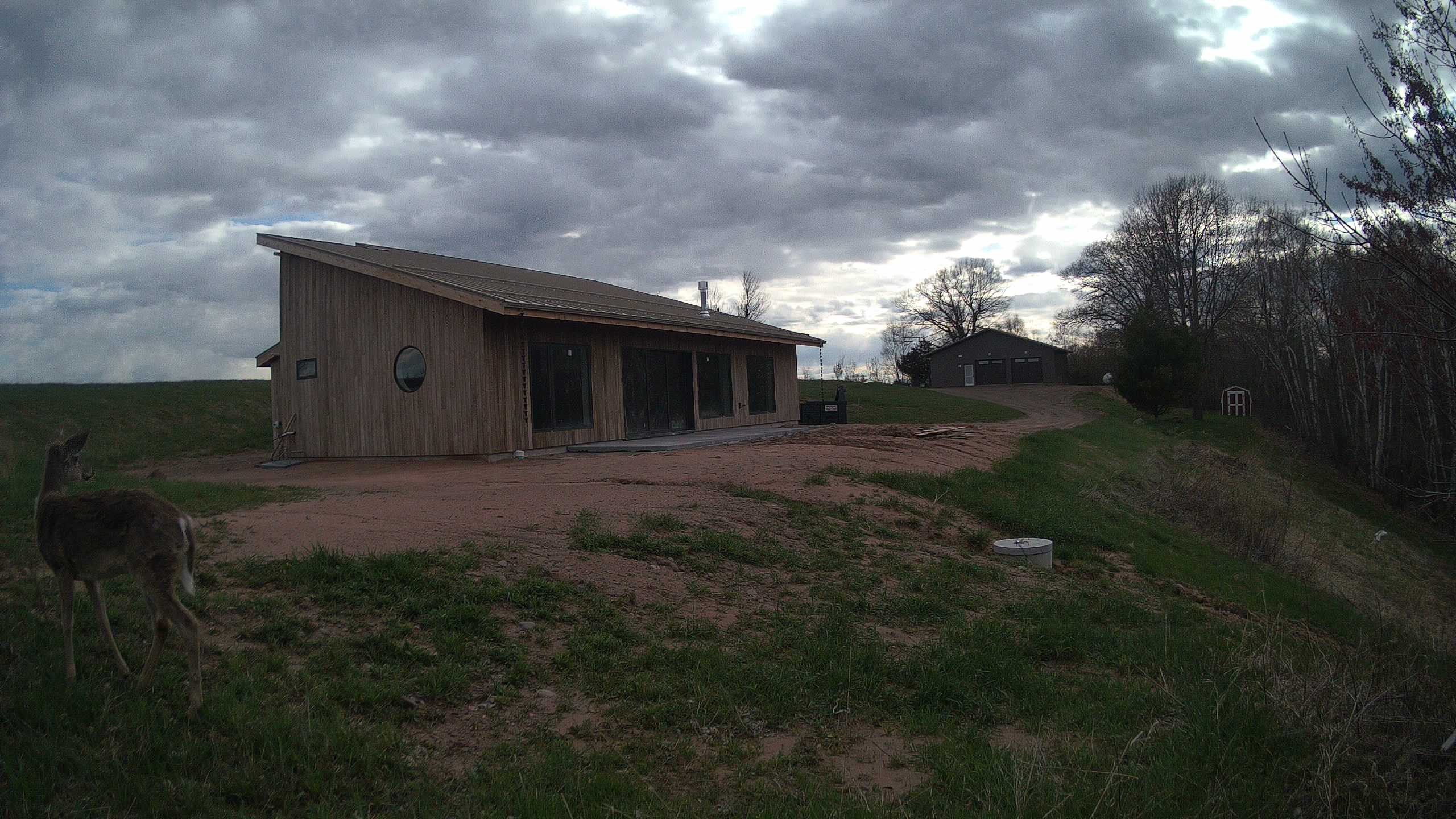 A photo from the field camera