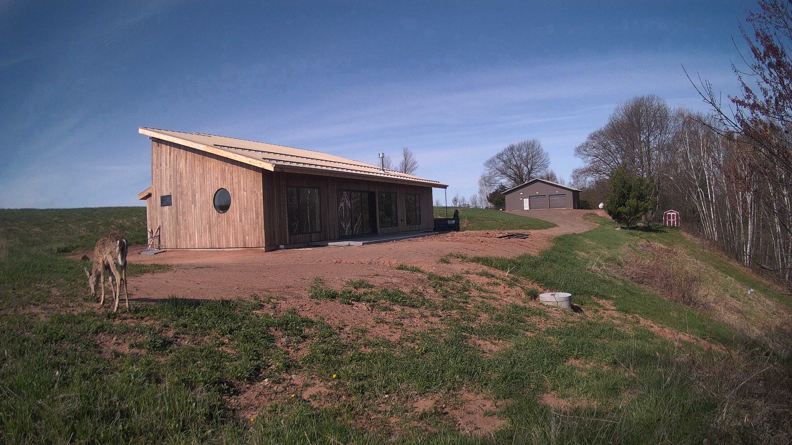 A photo from the field camera