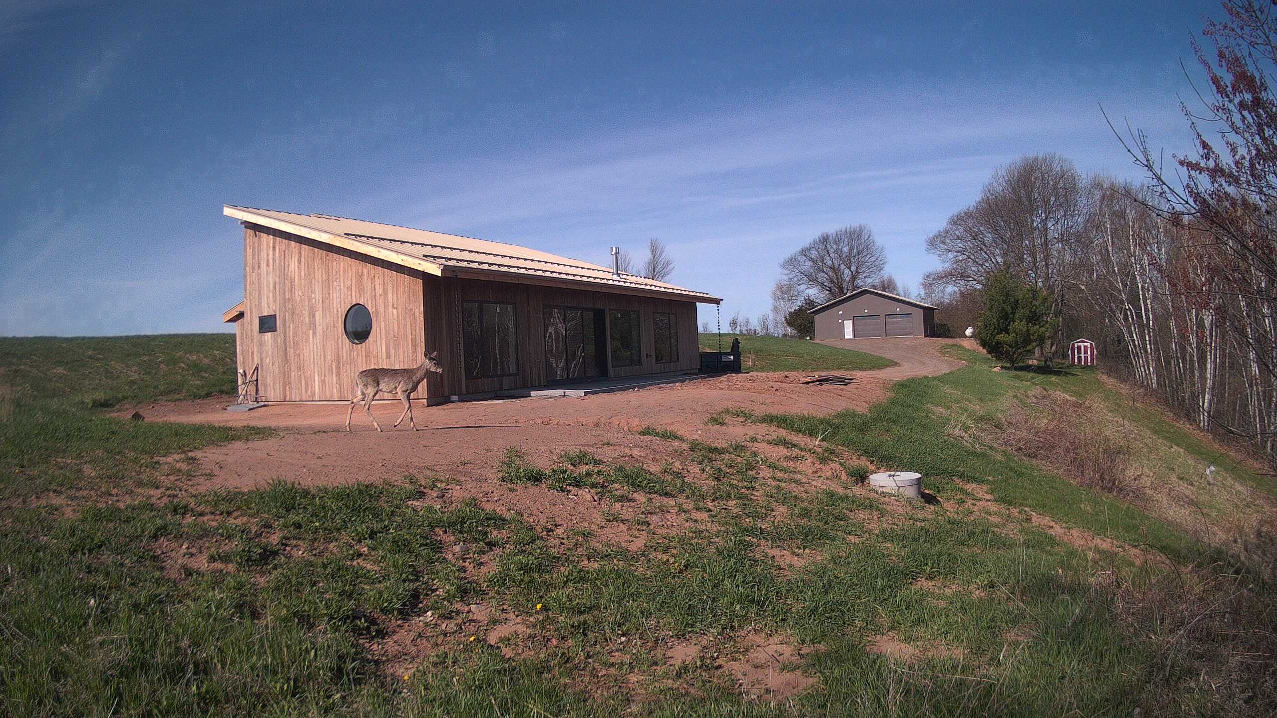 A photo from the field camera