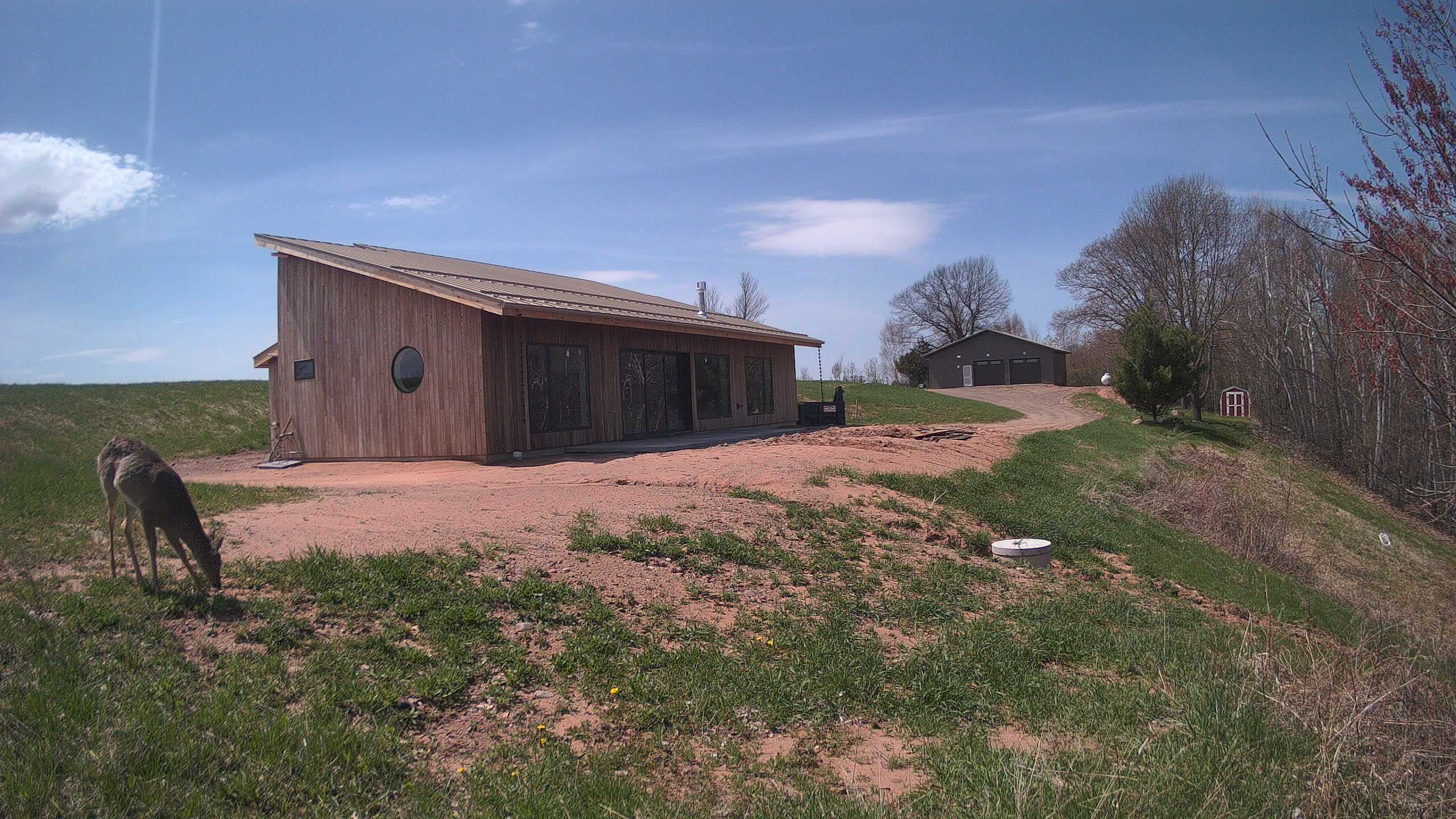 A photo from the field camera