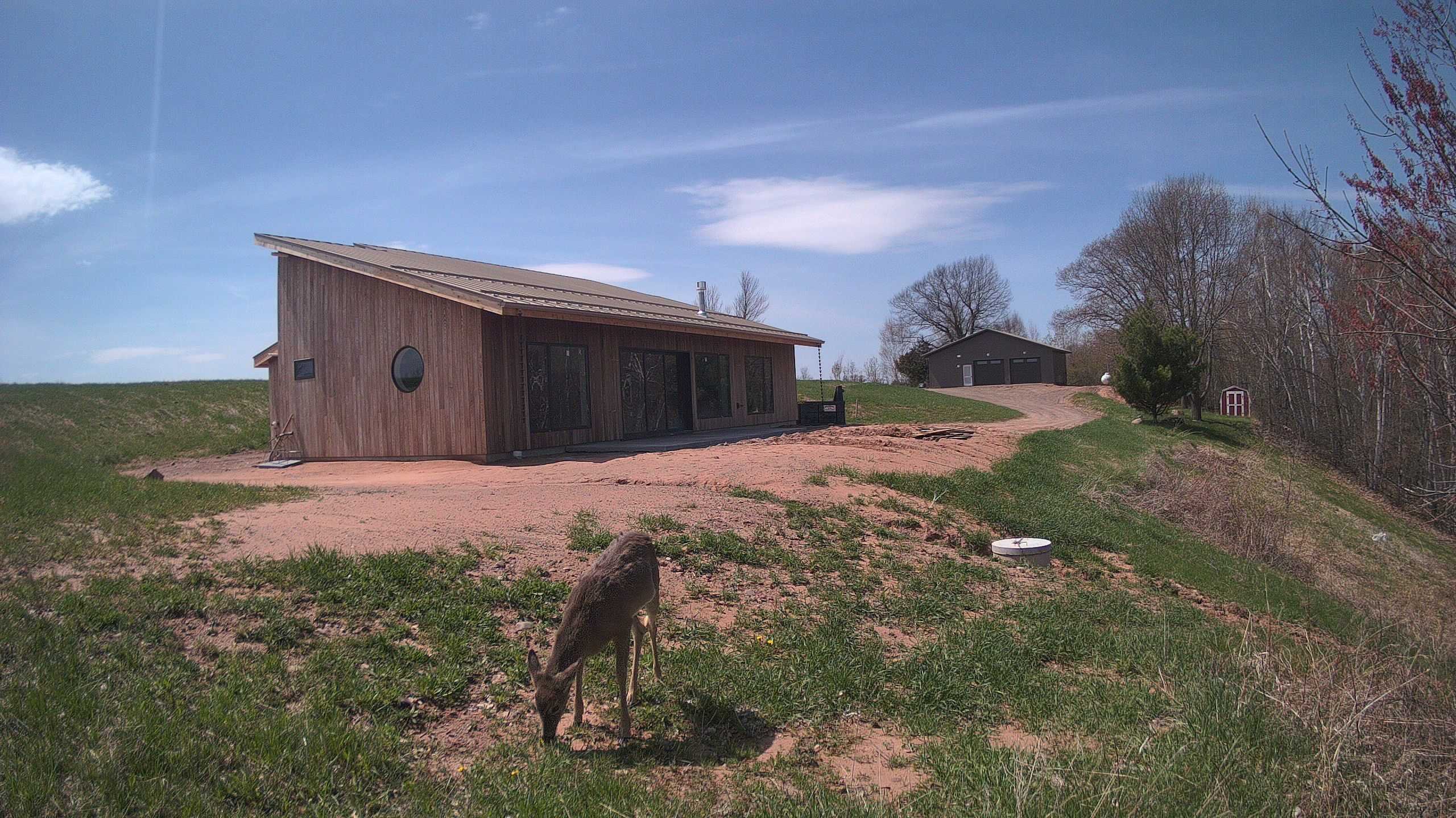 A photo from the field camera