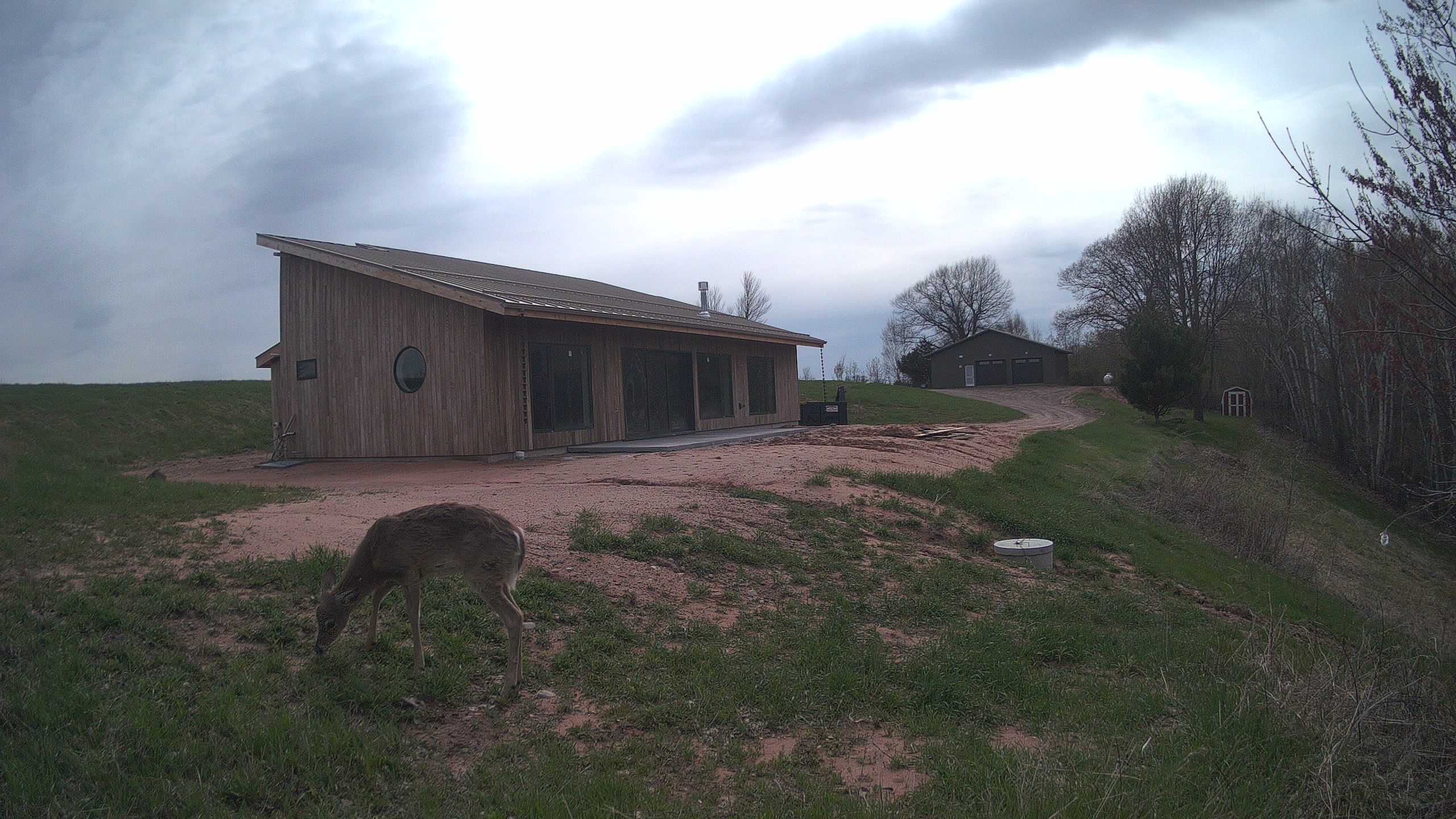 A photo from the field camera