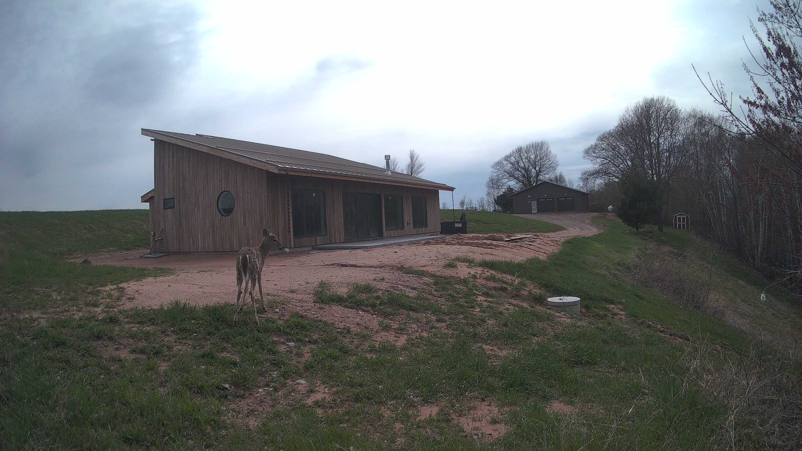 A photo from the field camera
