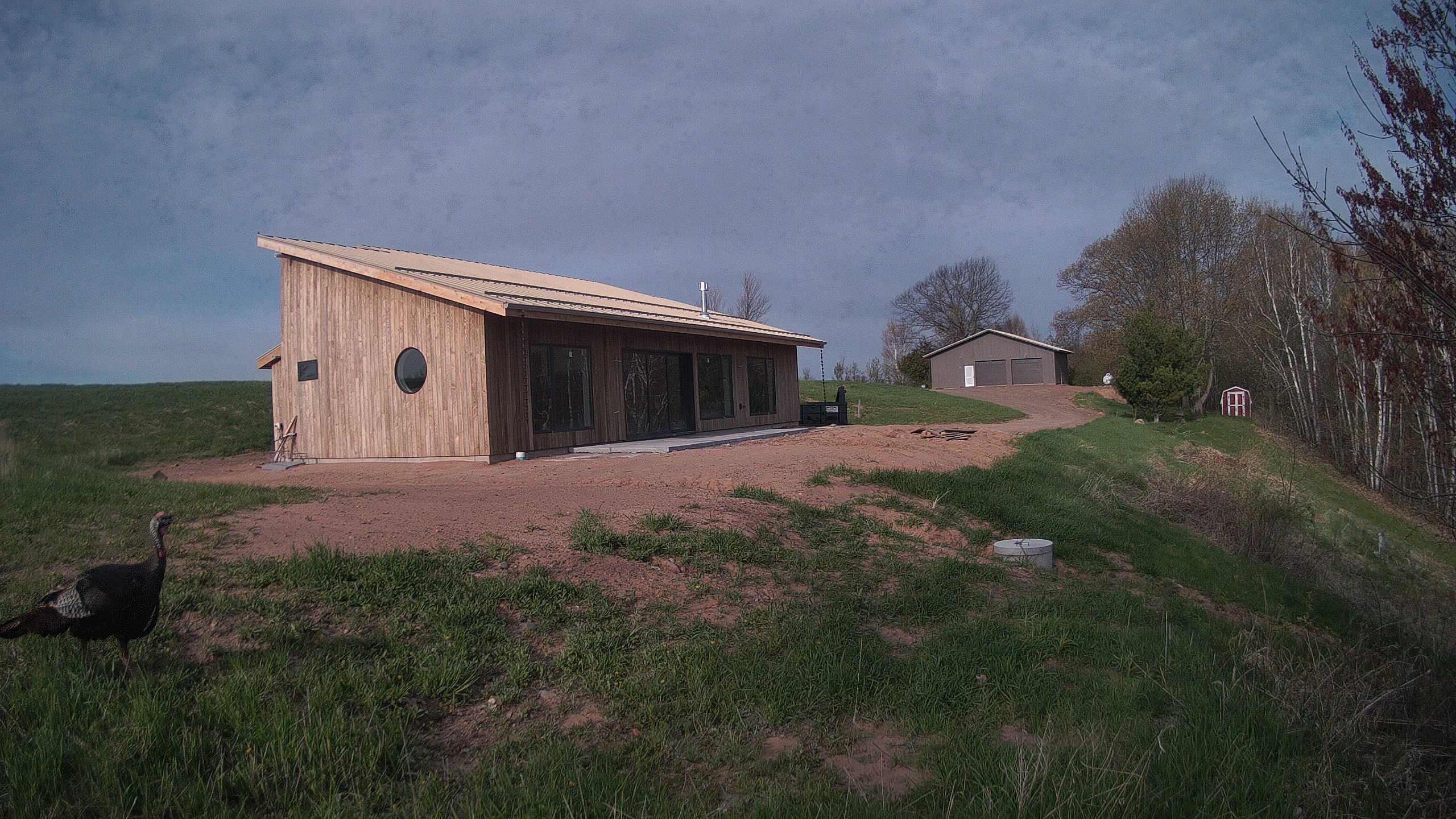 A photo from the field camera