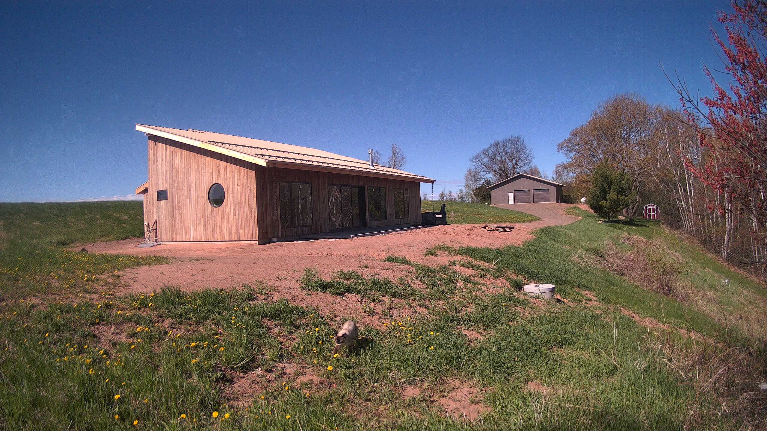 A photo from the field camera