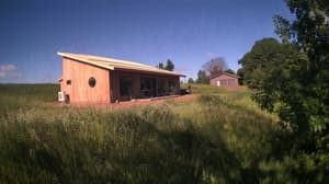 A newer photo from the camera