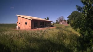 A newer photo from the camera