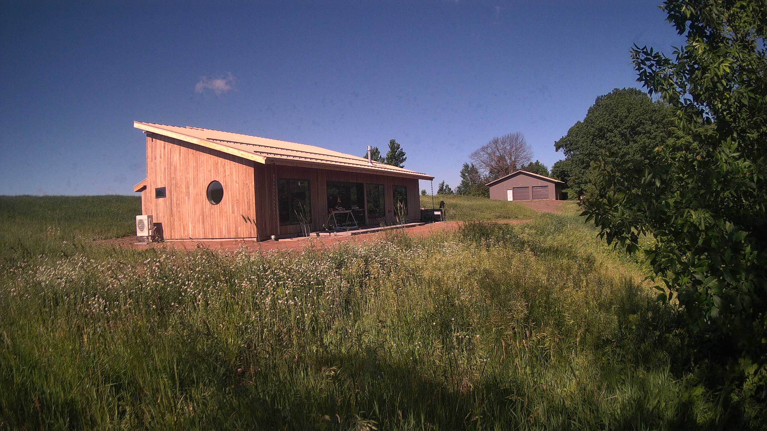 A photo from the field camera