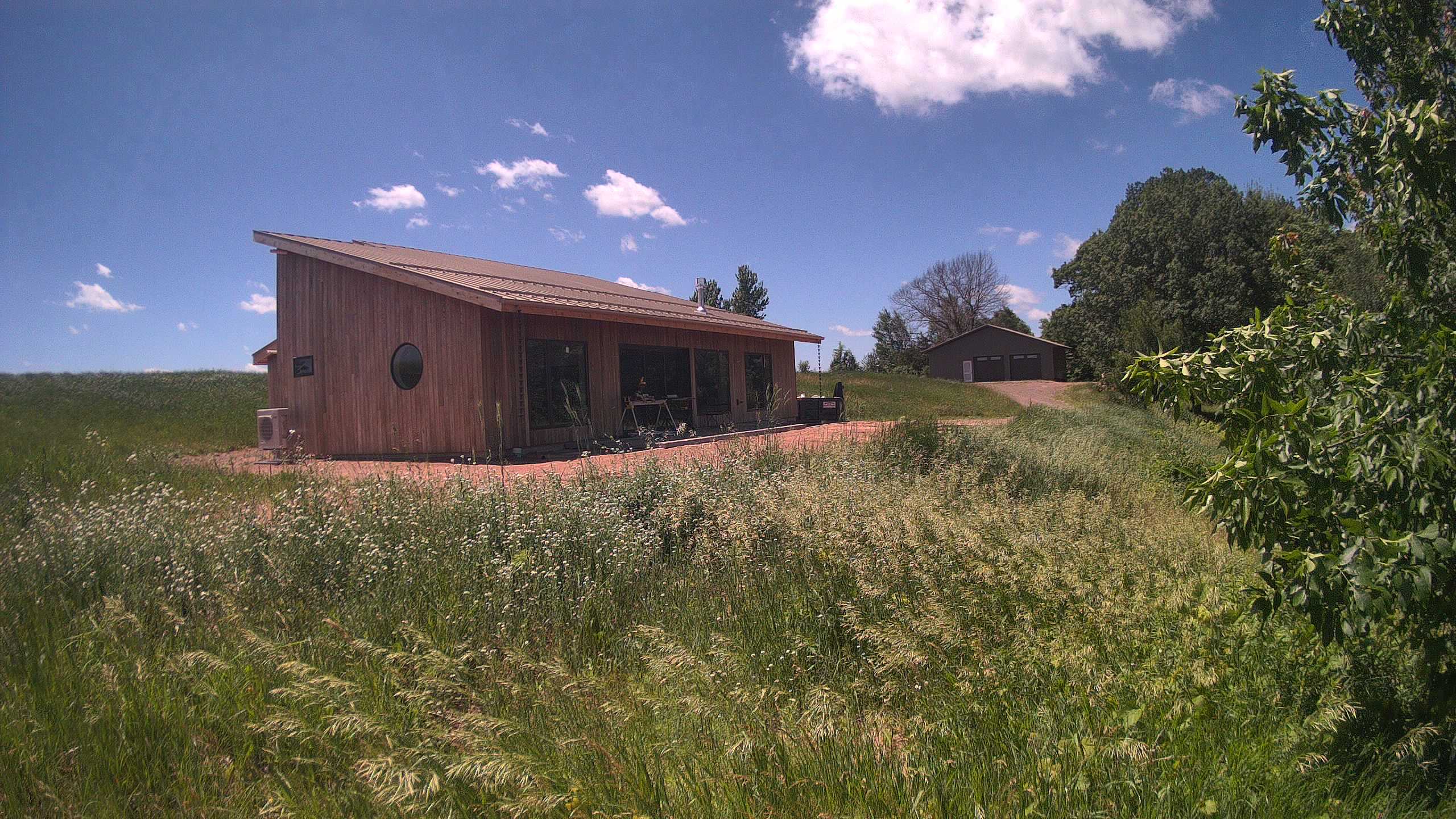 A photo from the field camera