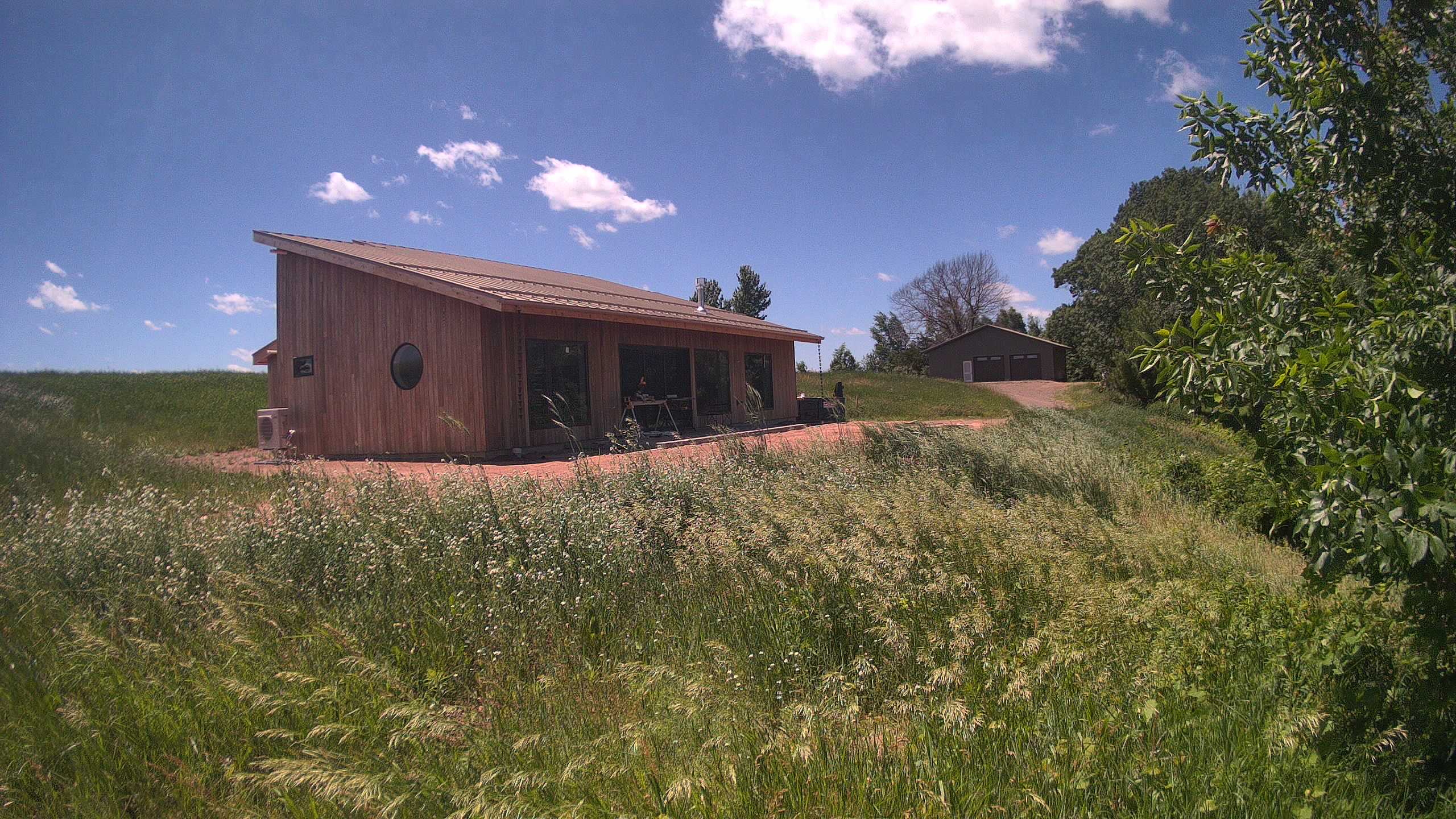 A photo from the field camera
