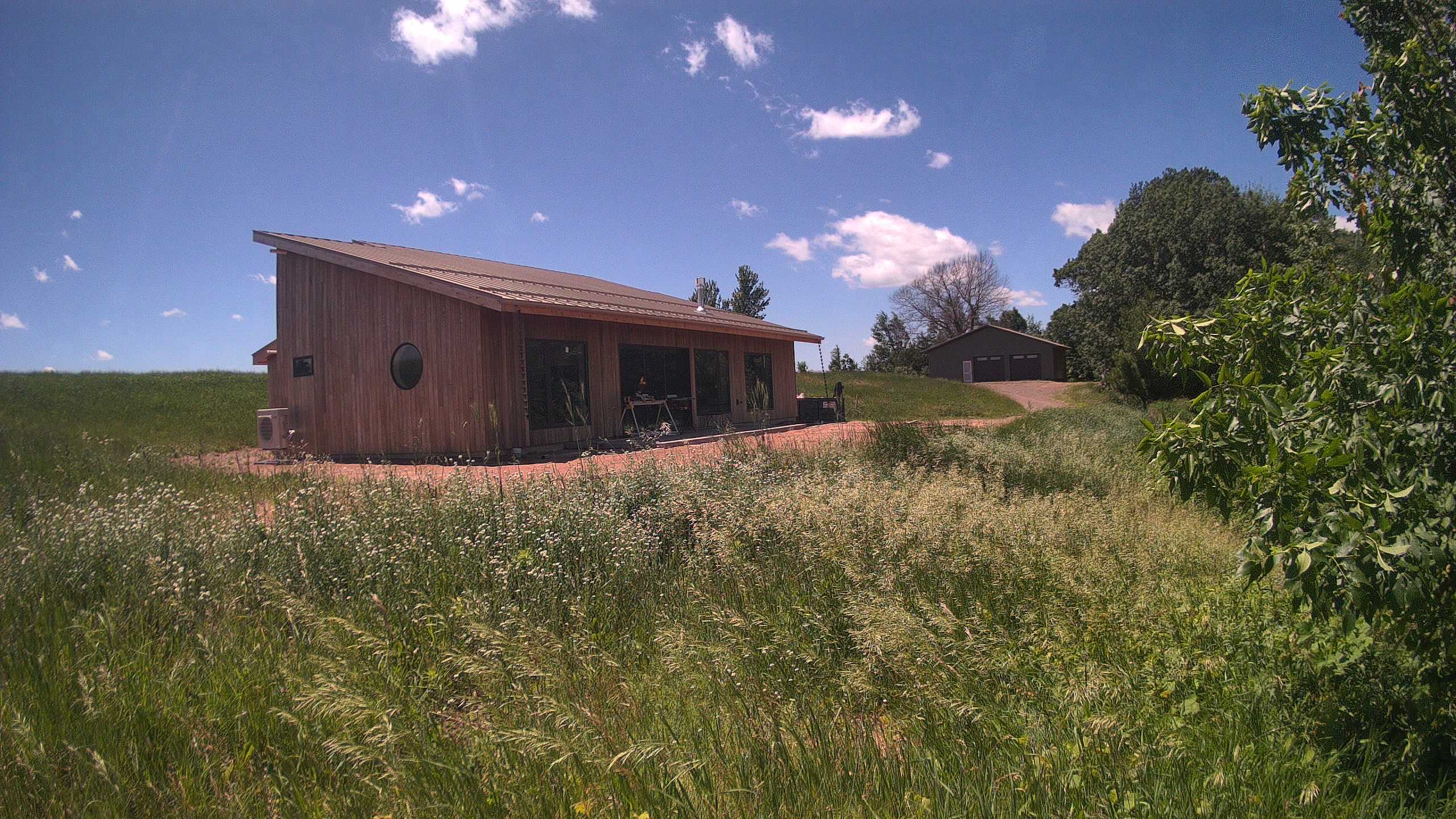 A photo from the field camera