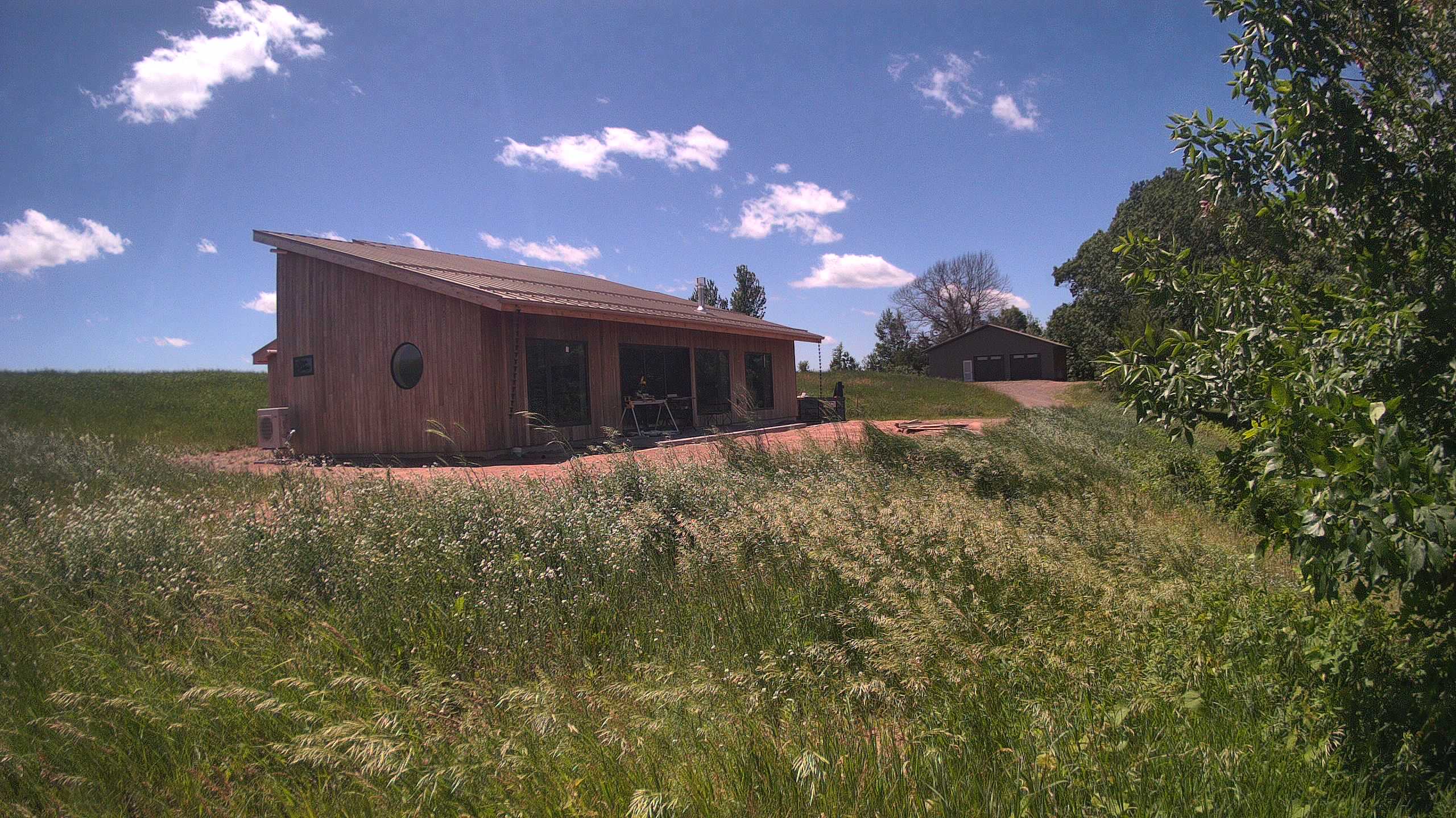 A photo from the field camera