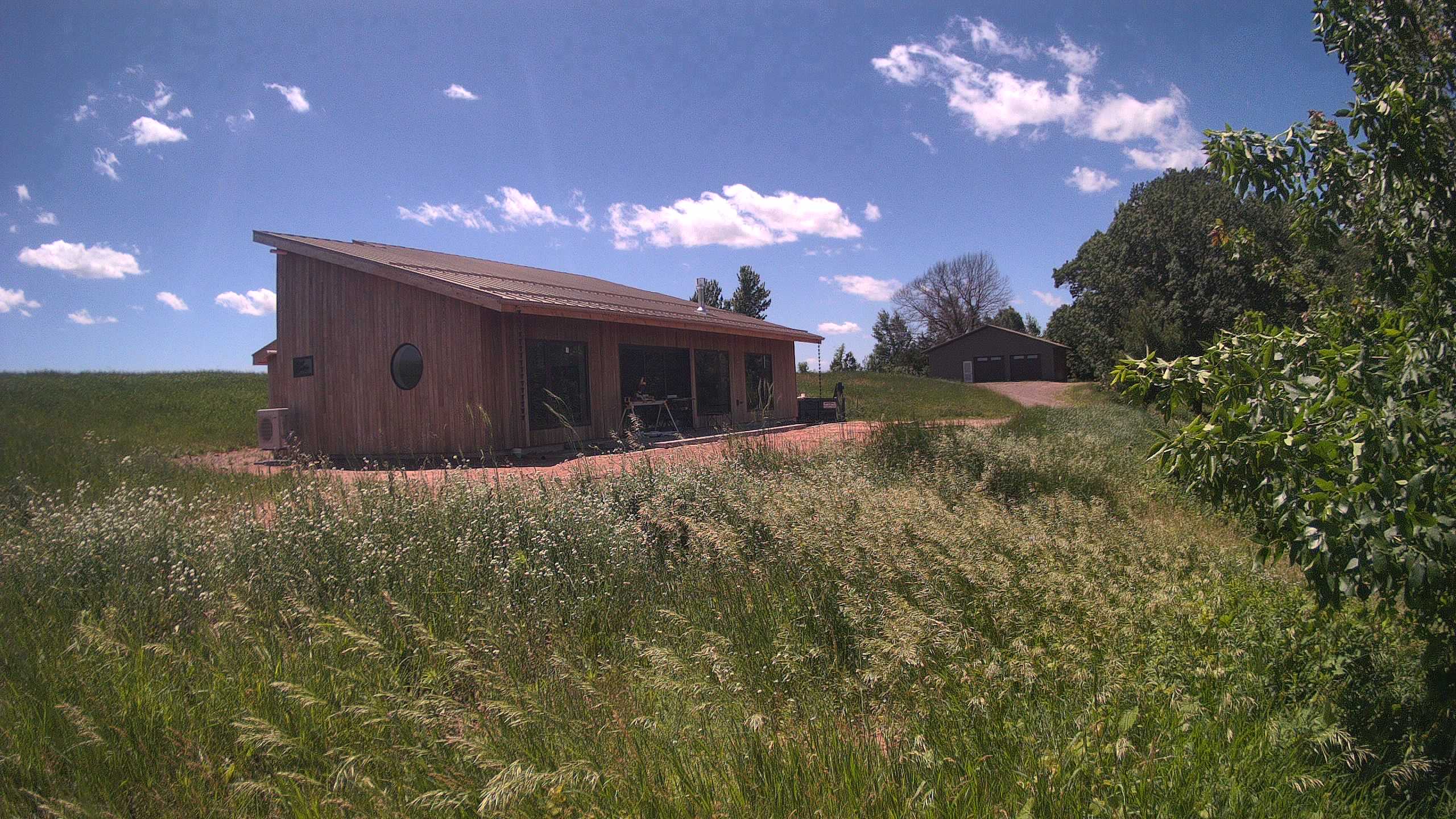 A photo from the field camera