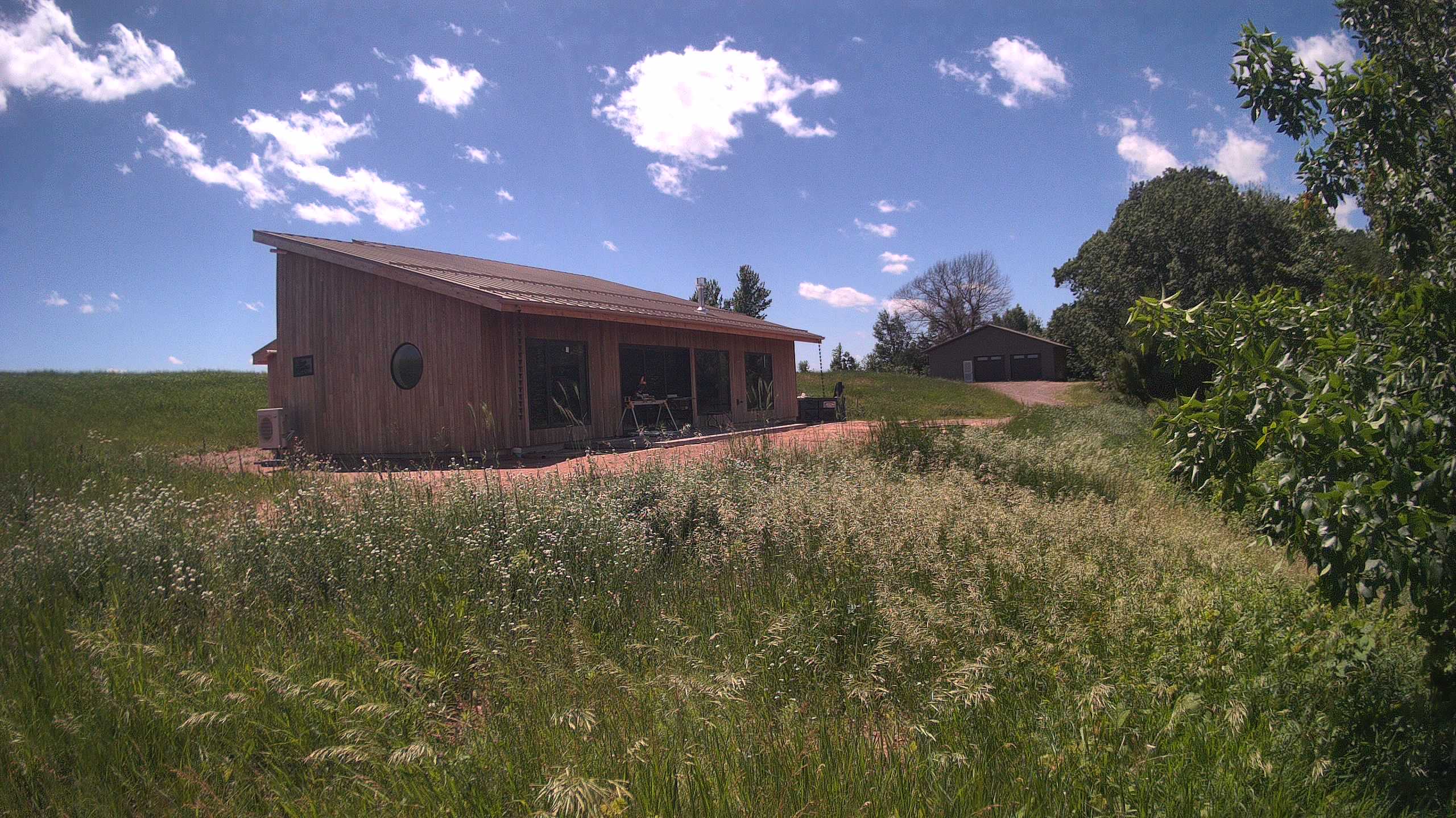 A photo from the field camera
